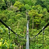 MacRitchie Reservoir