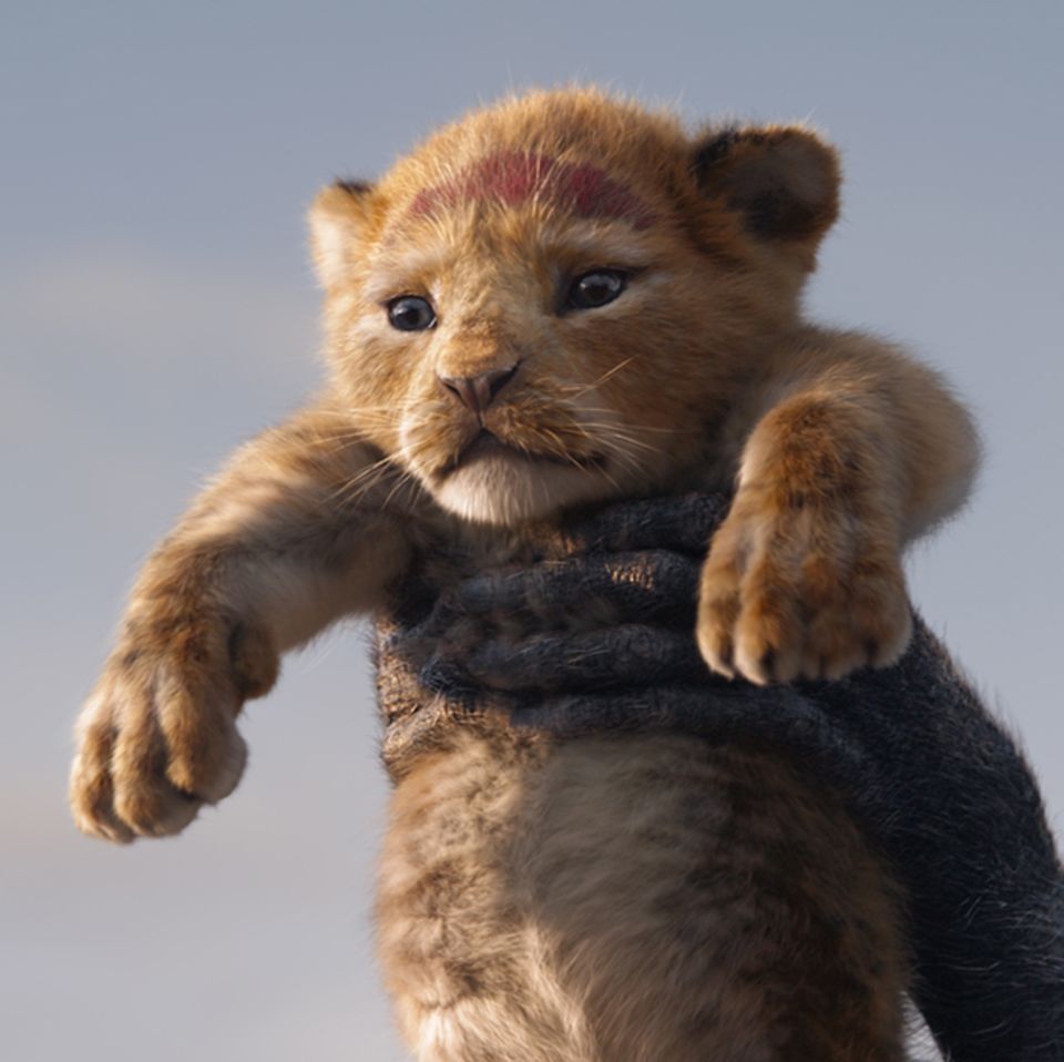Der König der Löwen - Simba
