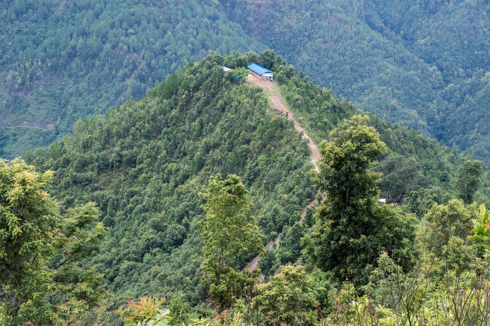 Nepal: Diesen Hügel haben die Bewohner/-innen von Sunaulo Bazaar im Jahr 2010 aufgeforstet – 2018 ist er wieder von Wald bedeckt Nepal: Diesen Hügel haben die Bewohner/-innen von Sunaulo Bazaar im Jahr 2010 aufgeforstet – 2018 ist er wieder von Wald bedeckt