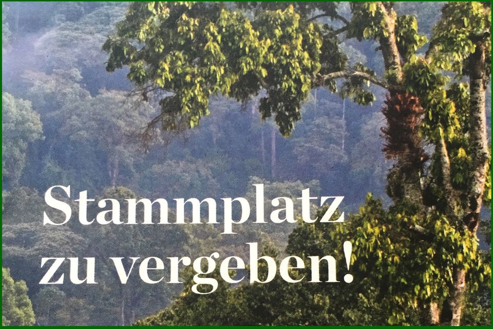 FLYER von GEO schützt den Regenwald e.V. FLYER von GEO schützt den Regenwald e.V.