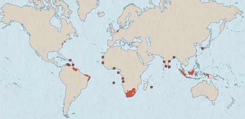 Kolonialismus: Die Unterwerfung der Welt - [GEO]