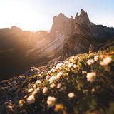 Seceda, Südtirol