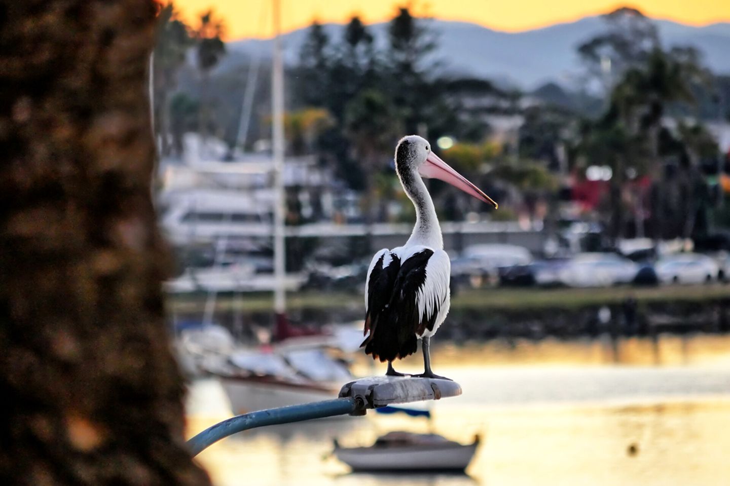 GEO Leserfoto: Die besten Leserfotos: August 2019 - Bild 19 Leserfoto