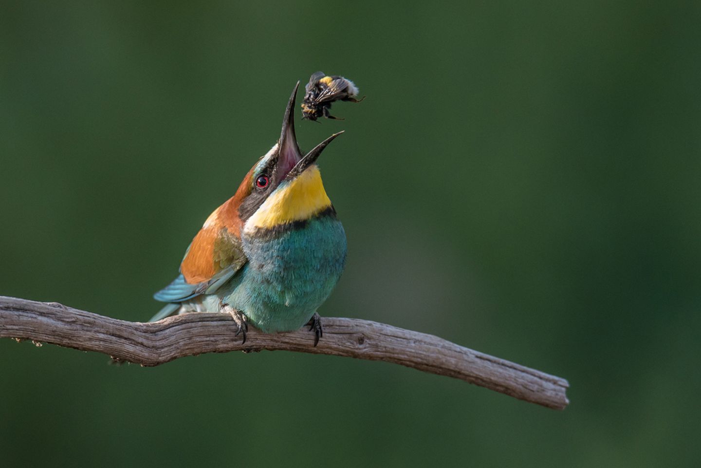GEO Leserfoto: Die besten Leserfotos: August 2019 - Bild 18 Leserfoto