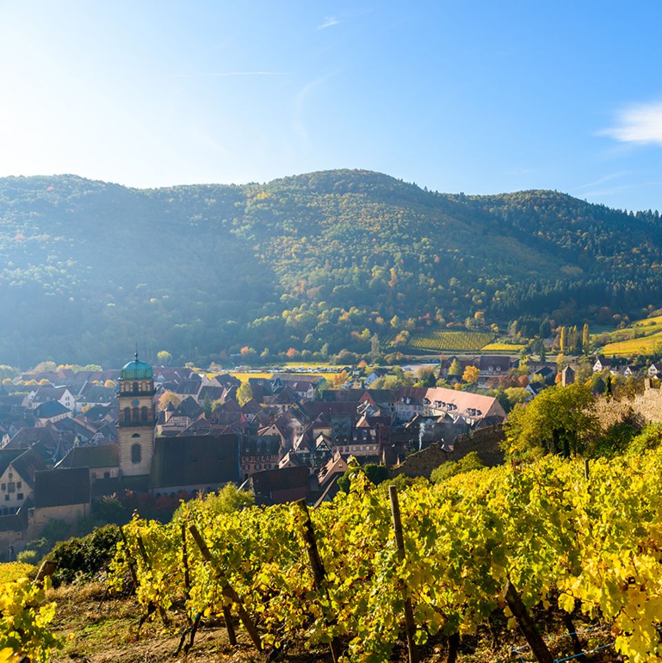 Kaysersberg
