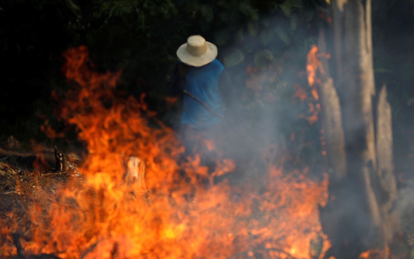 Amazonas Waldbrand