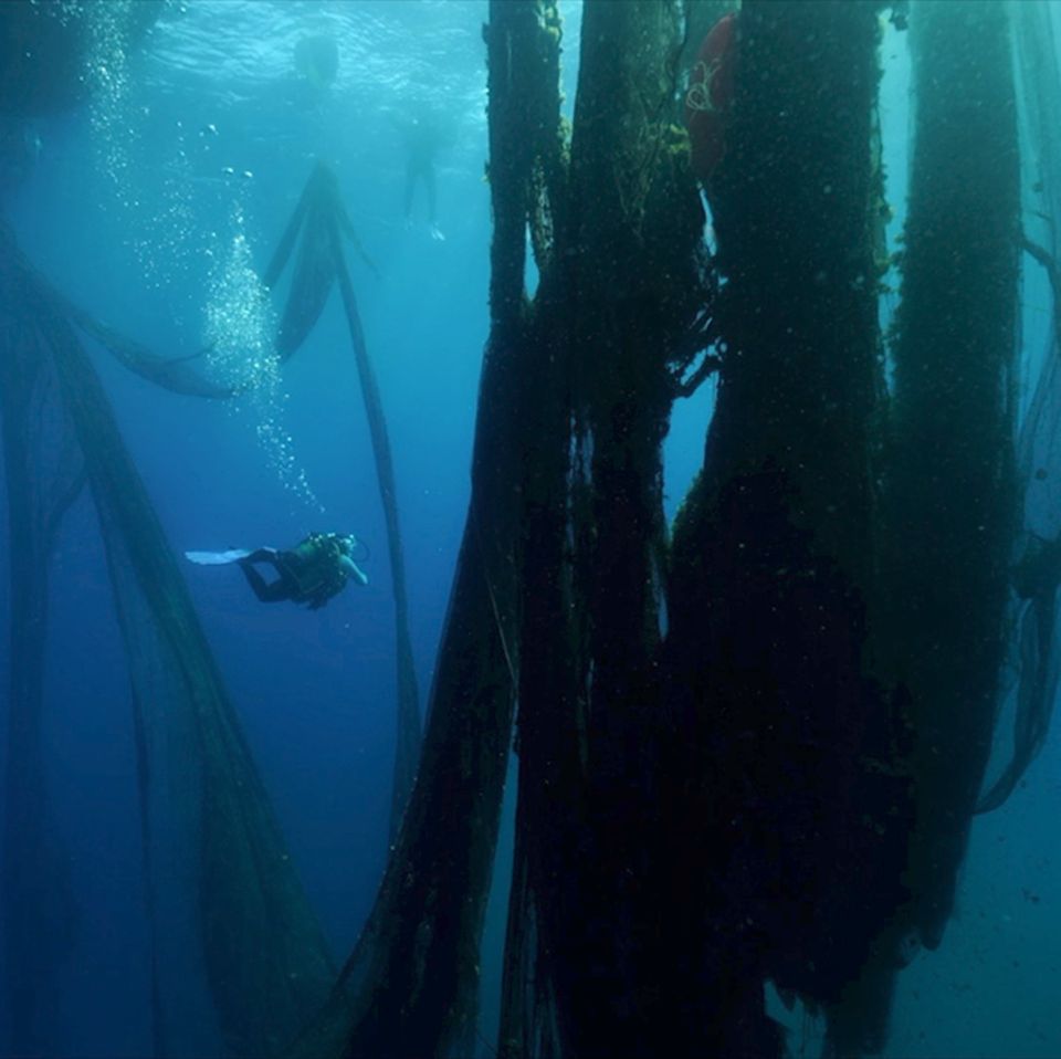 Geisternetze im Mittelmeer