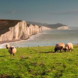 Seven Sisters, South Downs Nationalpark