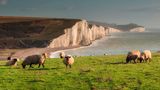 Seven Sisters, South Downs Nationalpark
