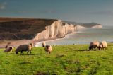 Seven Sisters, South Downs Nationalpark