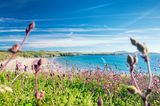 Pembrokeshire Coast Nationa Park