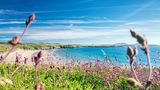 Pembrokeshire Coast Nationa Park
