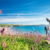 Pembrokeshire Coast Nationa Park