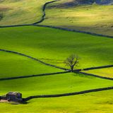 Crummack Dale, Yorkshire Dales, North Yorkshire, England