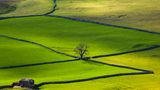 Crummack Dale, Yorkshire Dales, North Yorkshire, England