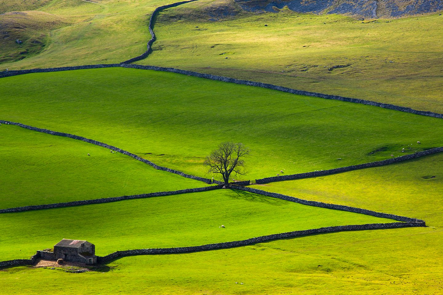 Crummack Dale, Yorkshire Dales, North Yorkshire, England