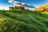Blumenwiese, Südtirol