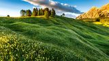 Blumenwiese, Südtirol