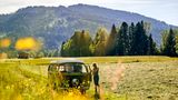 Roadtrip