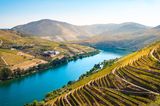 Douro-Tal, Portugal