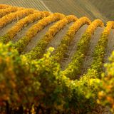 Provence, Frankreich