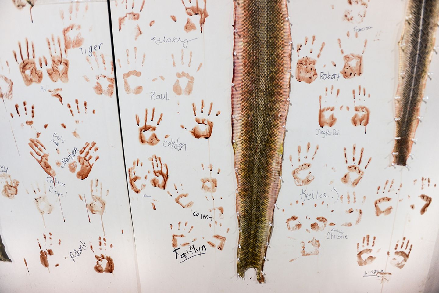 Jo-Anne McArthur / Wildlife Photographer of the Year