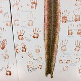 Jo-Anne McArthur / Wildlife Photographer of the Year