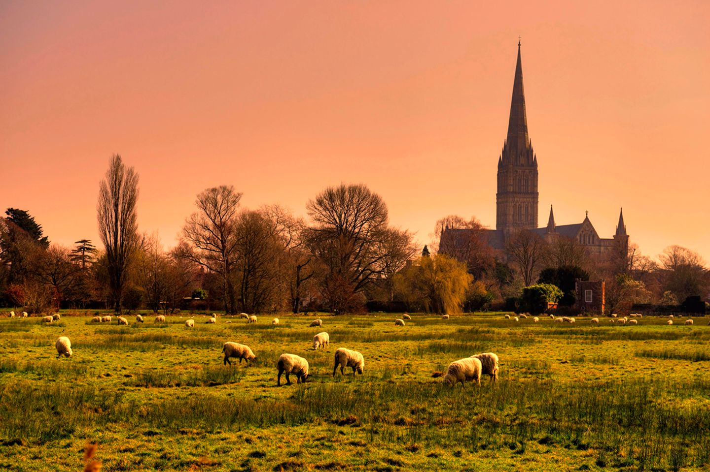 Salisbury: Eine der schönsten Kathedralenstädte in Europa - [GEO]