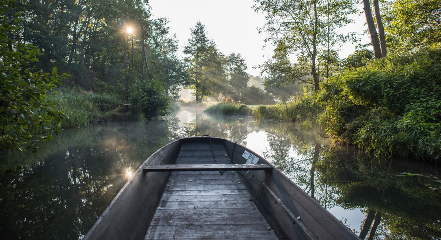 Spreewald (Brandenburg)