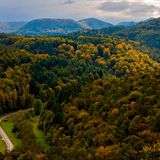 Pfälzerwald (Rheinland-Pfalz)