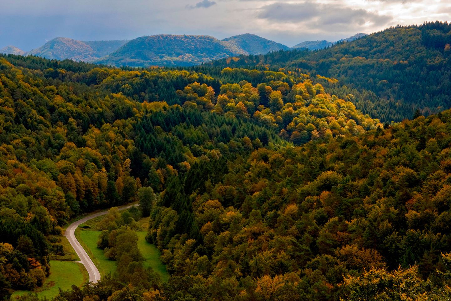 Pfälzerwald (Rheinland-Pfalz)