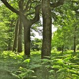 Forstenrieder Park (Bayern)