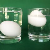 Frische und alte Eier unterscheiden