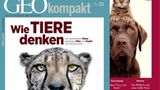 Meister der Sinne: Das Magazin-Bundle
