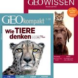 Meister der Sinne: Das Magazin-Bundle