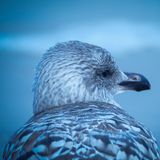 GEO Leserfoto: Die besten Leserfotos: September 2019 - Bild 3