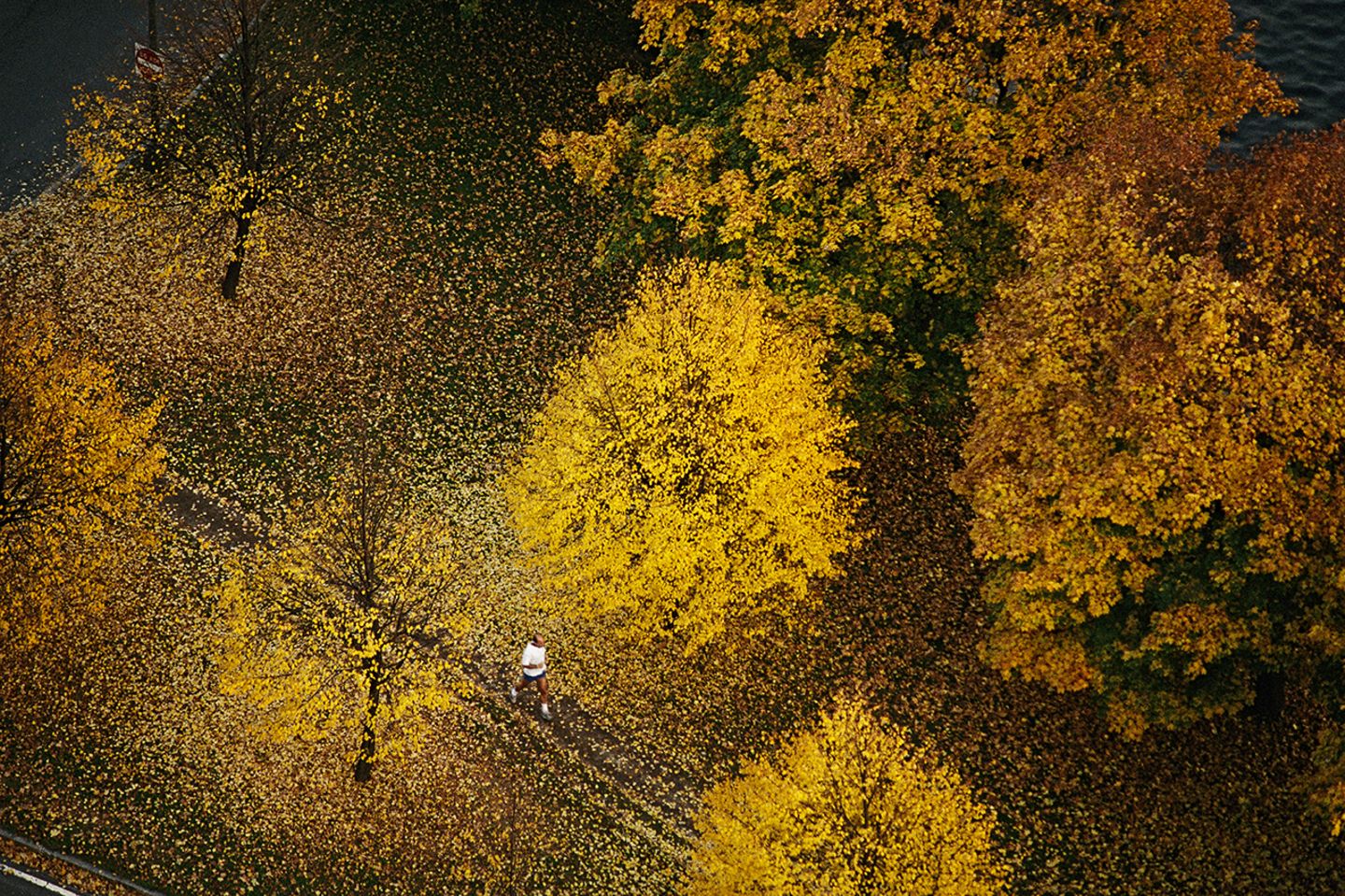 Jogger im herbstlichen Boston