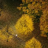 Jogger im herbstlichen Boston