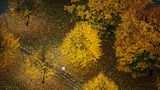 Jogger im herbstlichen Boston