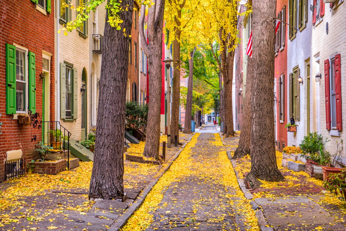 Herbstliche Straße in Philadelphia