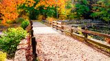 Brücke im Herbst