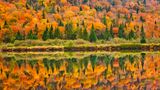 Jacques-Cartier National Park im Herbst