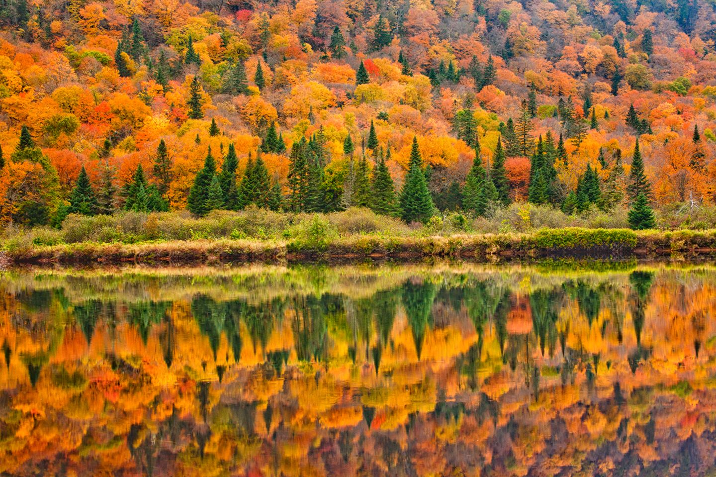 Jacques-Cartier National Park im Herbst