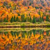 Jacques-Cartier National Park im Herbst