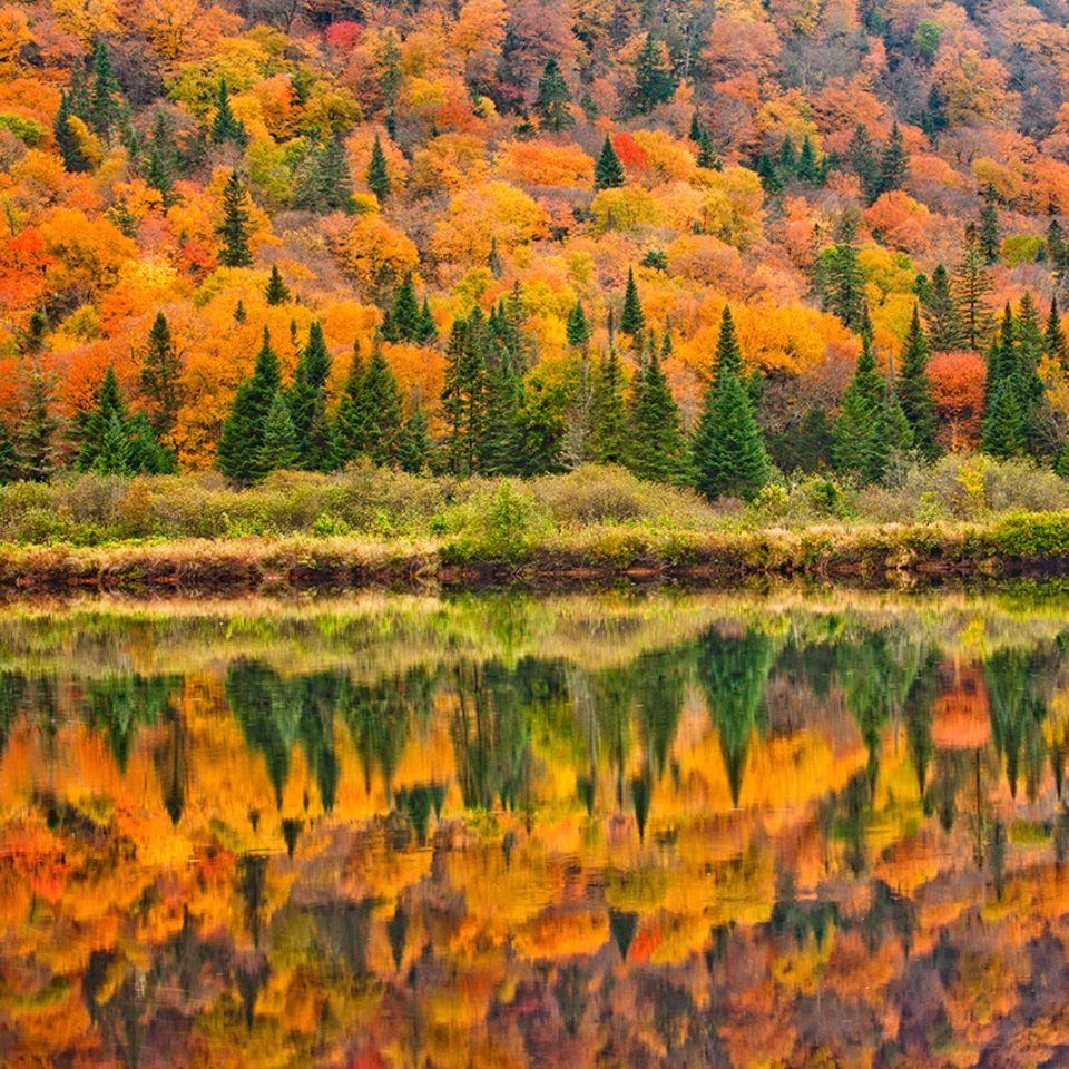 Jacques-Cartier National Park im Herbst