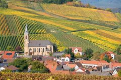 Birkweiler, Pfalz
