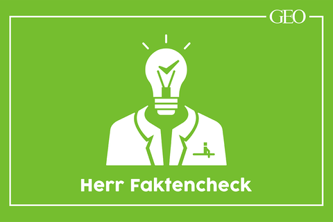 Mini-Podcast: Herr Faktencheck: Wahres Wissen für die Ohren