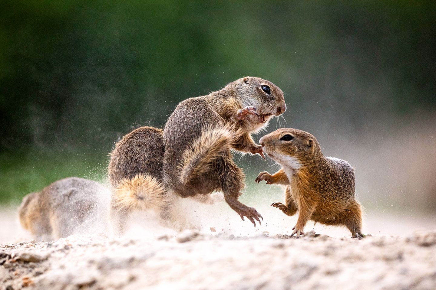 GEO Leserfoto: Die besten Leserfotos: Oktober 2019 - Bild 10 Leserfoto