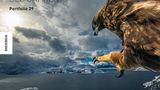 Wildlife Photographer of the Year