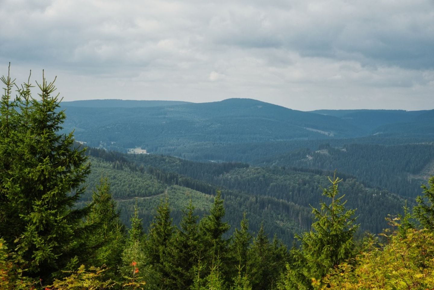 Thüringer Wald